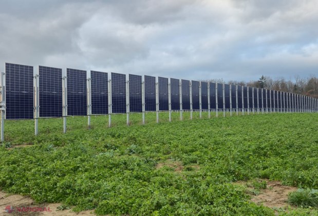 Ghid inovator pentru agricultură și energie în Moldova: Cum să îmbini eficient panourile fotovoltaice cu culturile agricole