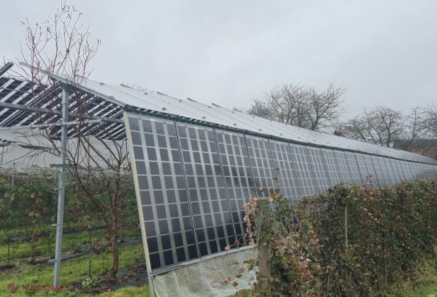 Ghid inovator pentru agricultură și energie în Moldova: Cum să îmbini eficient panourile fotovoltaice cu culturile agricole