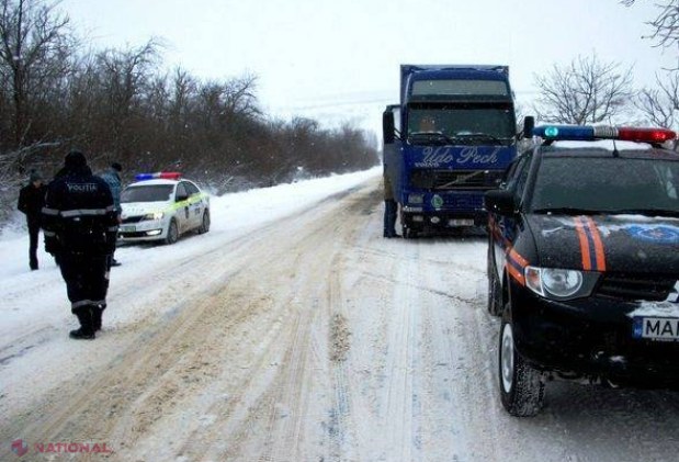 Zeci de AUTOMOBILE, OSTATICE în TROIENE