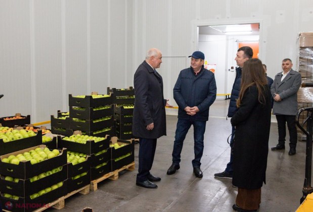 Premierul Alexandru Munteanu, în vizită la livada modernă Farm-Prod din Olănești, model de afacere pomicolă orientată spre export