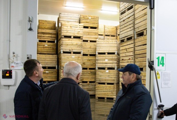 Premierul Alexandru Munteanu, în vizită la livada modernă Farm-Prod din Olănești, model de afacere pomicolă orientată spre export