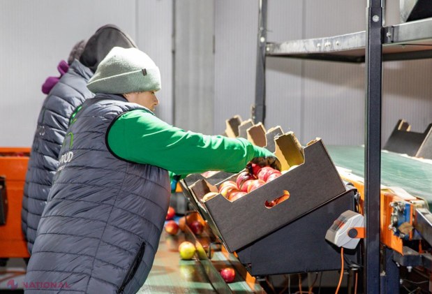 Premierul Alexandru Munteanu, în vizită la livada modernă Farm-Prod din Olănești, model de afacere pomicolă orientată spre export