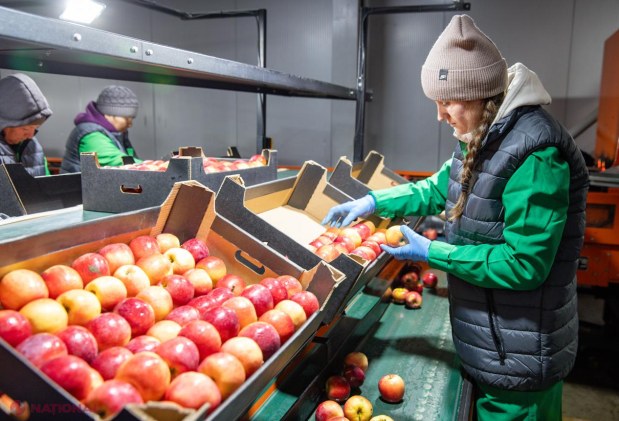 Premierul Alexandru Munteanu, în vizită la livada modernă Farm-Prod din Olănești, model de afacere pomicolă orientată spre export