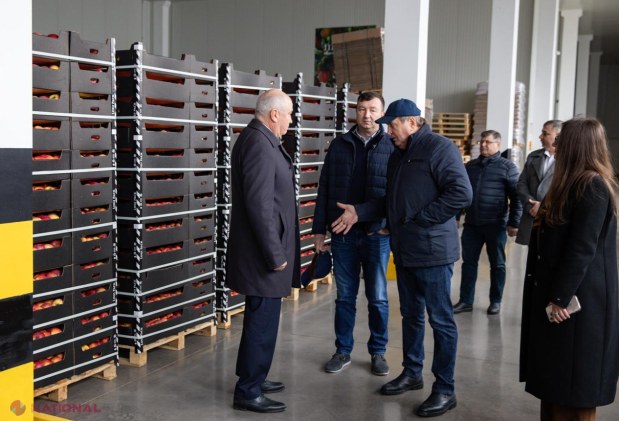 Premierul Alexandru Munteanu, în vizită la livada modernă Farm-Prod din Olănești, model de afacere pomicolă orientată spre export