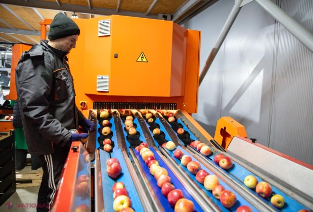 Premierul Alexandru Munteanu, în vizită la livada modernă Farm-Prod din Olănești, model de afacere pomicolă orientată spre export