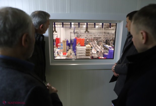 Sprijin financiar de 90 de MILIOANE de lei din partea statului, pentru construcția unui complex furajer modern de 218 milioane lei