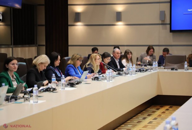 Parlamentul evaluează progresele Chișinăului în libera circulație a mărfurilor și serviciilor pe piața UE