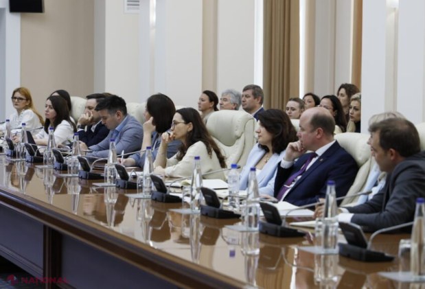 Guvernul accelerează îndeplinirea criteriilor economice de la Copenhaga pentru aderarea Republicii Moldova la UE