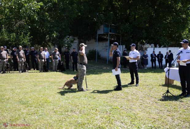 Polițiștii chinologi ai IGP, premiați de Ziua Internațională a Chinologului pentru misiunile alături de câinii de serviciu