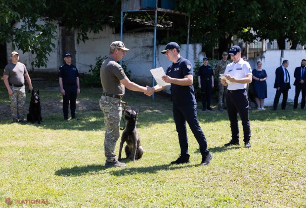 Polițiștii chinologi ai IGP, premiați de Ziua Internațională a Chinologului pentru misiunile alături de câinii de serviciu