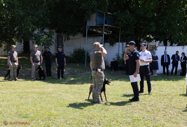 Polițiștii chinologi ai IGP, premiați de Ziua Internațională a Chinologului pentru misiunile alături de câinii de serviciu