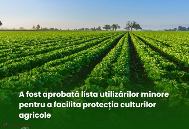 MAIA simplifică autorizarea produselor fitosanitare pentru culturile de nișă, în sprijinul fermierilor din Republica Moldova