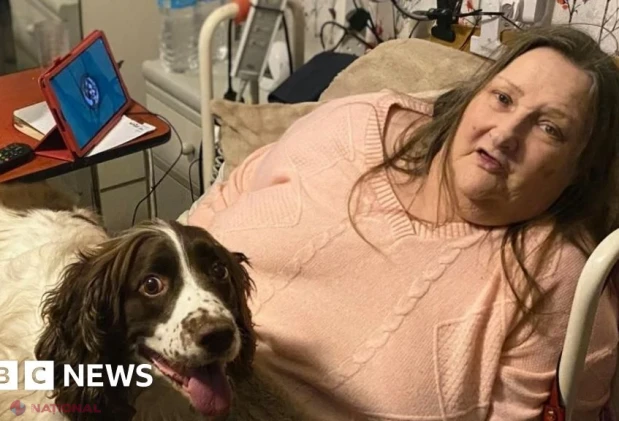 Inteligența artificială, aliatul neașteptat împotriva singurătății bătrânilor din Marea Britanie