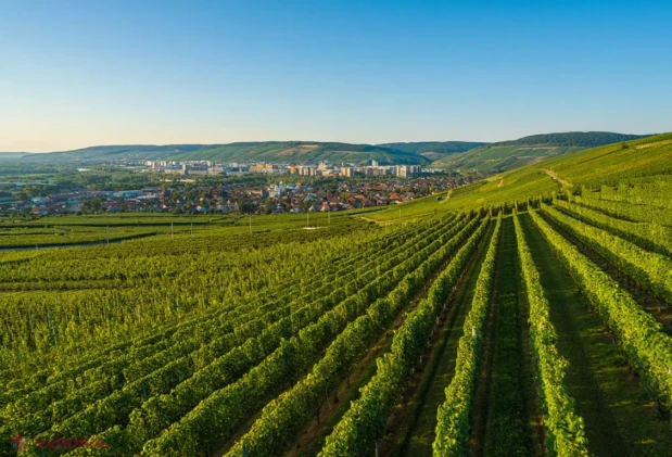 Vreme caldă și în mare parte senină în Moldova, 27 iulie – 2 august 2026