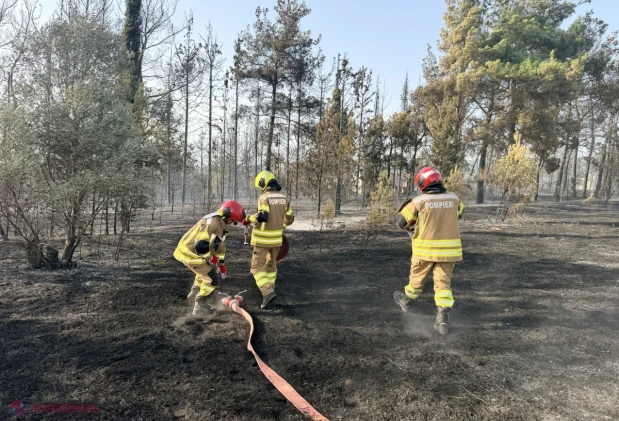 Pompierii moldoveni au stins un puternic incendiu de pădure lângă Salonic, în misiunea UE din Grecia