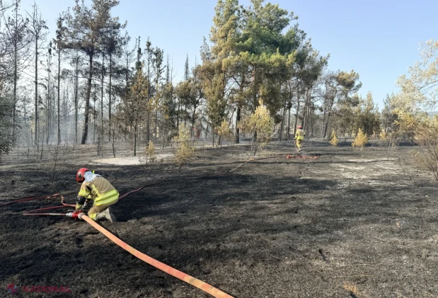 Pompierii moldoveni au stins un puternic incendiu de pădure lângă Salonic, în misiunea UE din Grecia