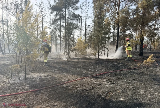 Pompierii moldoveni au stins un puternic incendiu de pădure lângă Salonic, în misiunea UE din Grecia