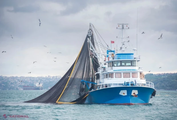Parlamentul aliniază Moldova la standardele maritime internaționale: protecție sporită pentru navigatori și siguranța navelor de pescuit