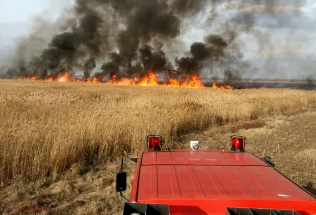 Pompierii IGSU au oprit flăcările la Mândrești: 25 de hectare de grâu salvate dintr-un lan de 40 de hectare în raionul Telenești