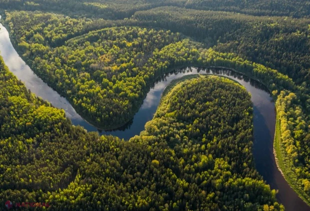 LiDAR dezvăluie o rețea uriașă de geoglife și orașe antice ascunse sub pădurea amazoniană