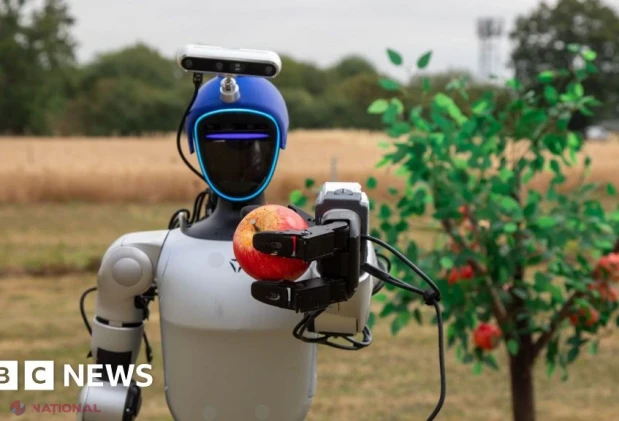 Roboții umanoizi, noua etapă în automatizarea agriculturii și parteneri de muncă pentru fermieri