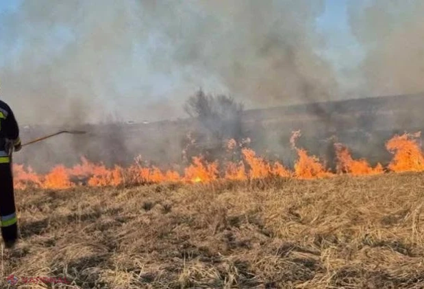 Val de incendii de vegetație în toată țara: 41 de focare lichidate de pompieri în doar 24 de ore