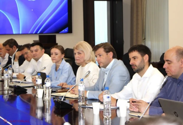 Guvernul pregătește garanții de credit pentru investiții private în baterii de stocare a energiei electrice