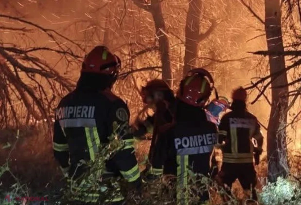 Franța în flăcări: peste 120.000 de hectare arse și peste 400 de suspecți reținuți, inclusiv minori, pentru provocarea incendiilor