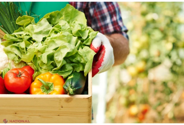 Producătorii agricoli, între scăderea prețurilor la culturi vegetale și scumpirea ouălor și mierii în prima jumătate a lui 2026