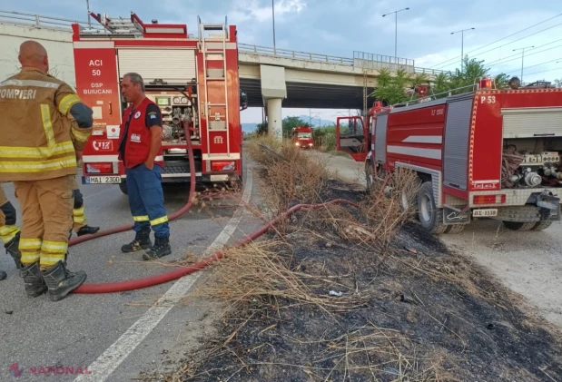 Pompierii moldoveni, cinci ore în lupta cu incendiile de vegetație de lângă Thessaloniki