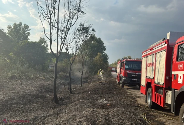 Pompierii moldoveni, cinci ore în lupta cu incendiile de vegetație de lângă Thessaloniki