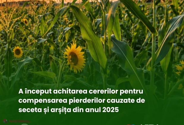 AIPA începe plățile de compensare pentru pierderile fermierilor afectați de seceta din 2025