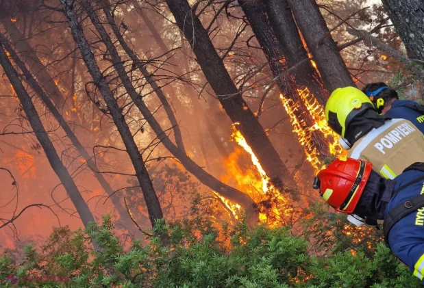 Pompierii moldoveni, în linia întâi alături de autoritățile elene la stingerea incendiului forestier din Kassandra, Grecia