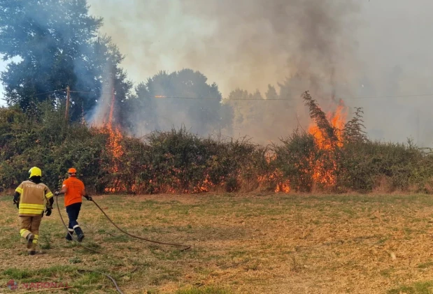 Pompierii moldoveni, în linia întâi alături de autoritățile elene la stingerea incendiului forestier din Kassandra, Grecia