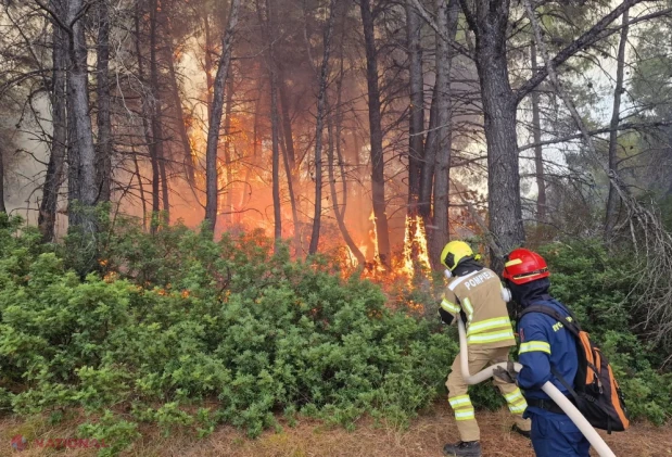 Pompierii moldoveni, în linia întâi alături de autoritățile elene la stingerea incendiului forestier din Kassandra, Grecia