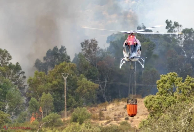 Rămășițele primilor regi ai Aragonului, vechi de un mileniu, salvate dintr-o mănăstire amenințată de incendiile de vegetație din Spania