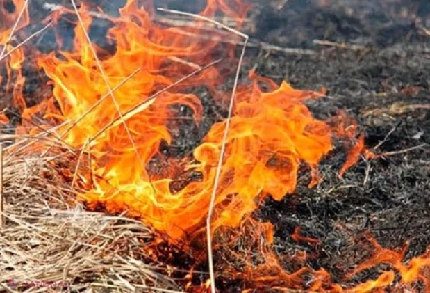 Incendiu de vegetație pe bulevardul Traian din Chișinău, stins de pompieri înainte să ajungă la locuințe