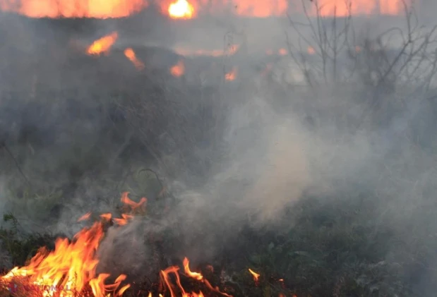 Incendiile de vegetație devastează Serbia, iar fumul gros sufocă Sofia: autoritățile le cer oamenilor să nu iasă din case