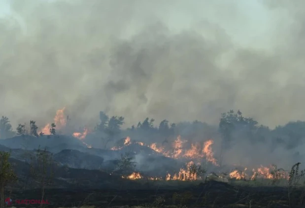 Incendii de vegetație în Sardinia, Grecia și Spania: evacuări, coduri de risc și intervenții aeriene masive
