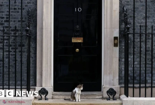 Anunț fals pentru 10 Downing Street pe Booking.com: organizația Which? acuză platforma că nu își protejează utilizatorii de escrocherii online