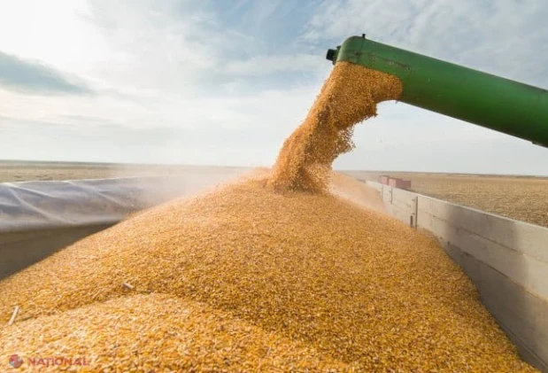 Importul de cereale și oleaginoase va fi licențiat provizoriu până la 31 octombrie 2026, pentru protejarea agricultorilor autohtoni