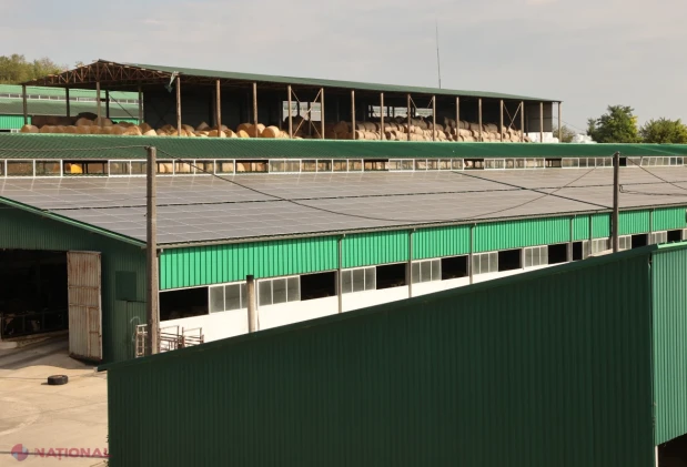 Ministrul Energiei: Agricultura poate deveni o sursă importantă de energie regenerabilă produsă în bandă