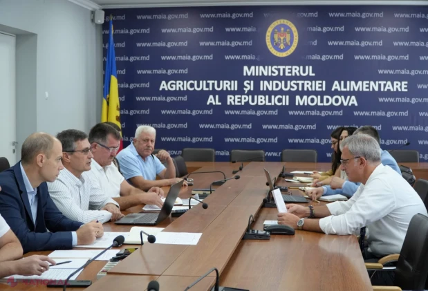 Autoritățile discută măsuri pentru relansarea sectorului apicol și promovarea mierii moldovenești peste hotare