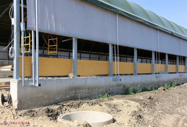Ferma de ovine pentru carne de la Buțeni prinde contur cu un grant de 1 milion de dolari