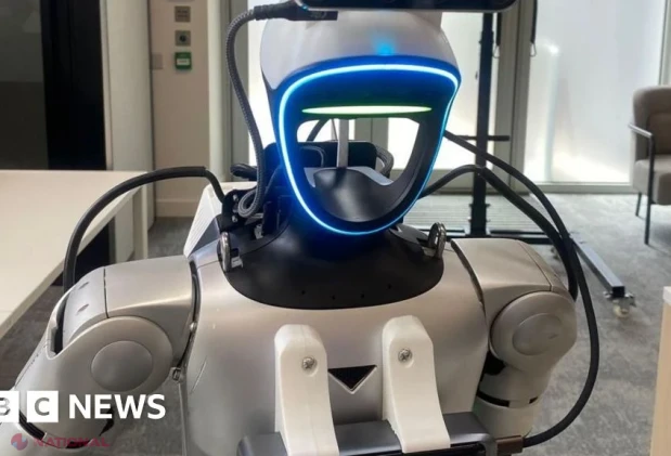 Lumile virtuale în care roboții învață să îndeplinească sarcini în lumea reală