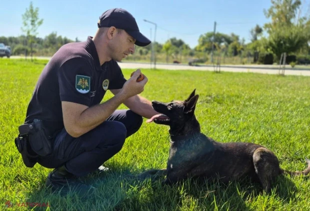 Poliția de Frontieră își deschide porțile la Cahul pentru cei interesați de o carieră în instituție
