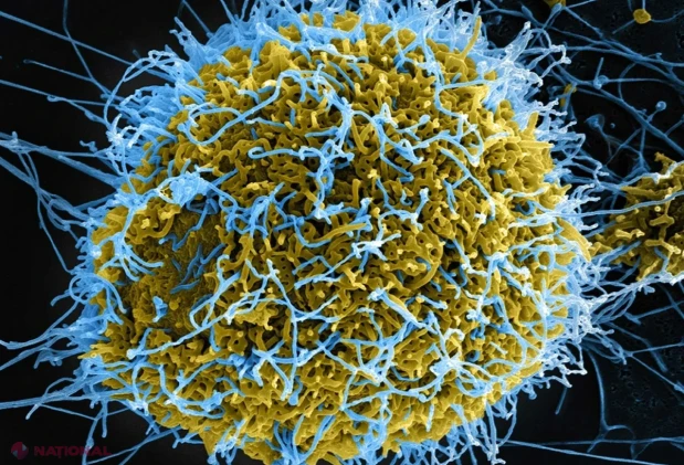 Kenya înregistrează primul deces provocat de virusul Ebola