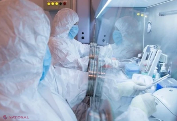 OMS evaluează riscul de ciumă ca fiind moderat spre slab la Irkuțk, slab în Rusia și foarte slab în Europa, după moartea unei laborante