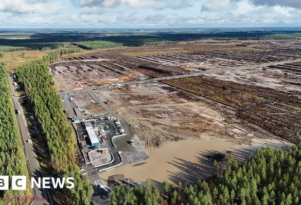 Finlanda suspendă lucrările la două centre de date Google pe fondul îngrijorărilor privind defrișarea a peste 300 de hectare de pădure