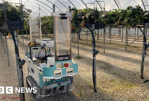 Marea Britanie investește 40 de milioane de lire în opt centre pentru adoptarea roboticii